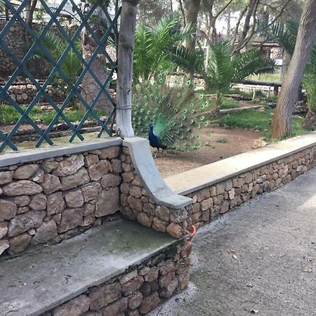 16 Porto Santo Apartments エクステリア 写真