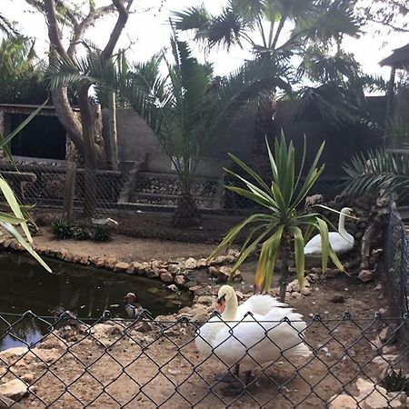 16 Porto Santo Apartments エクステリア 写真