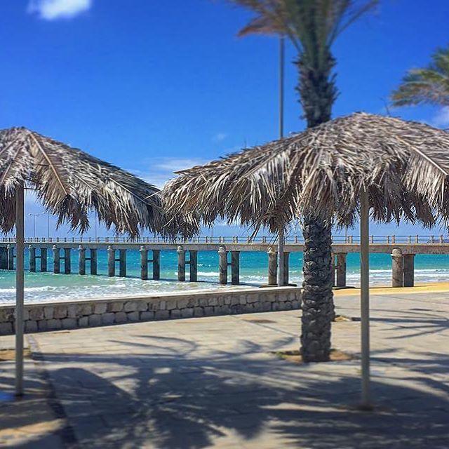 16 Porto Santo Apartments エクステリア 写真