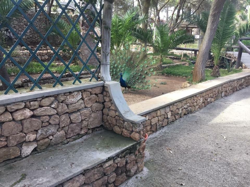 16 Porto Santo Apartments エクステリア 写真